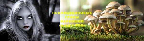 скорость Абинск