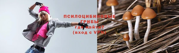 МДМА Абаза