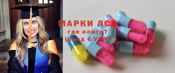 мдпв Гусев