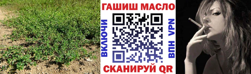 МЕГА зеркало  Заозёрный  ТГК гашишное масло 