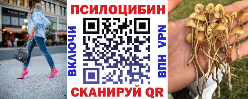 Галлюциногенные грибы Cubensis  Заозёрный 